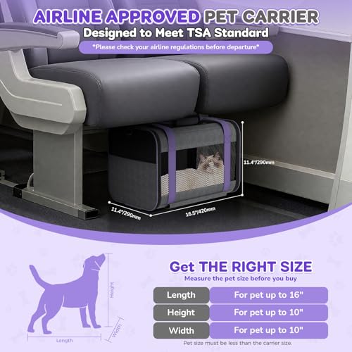 Cat Carrier on Wheels Airline Approved: Betopet Rolling Cat Carrier for Small Dog Medium Cat Under 18lbs - Cat Soft Carrie...