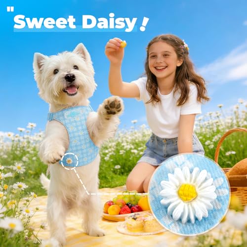 PETCARE Cute Small Dog Harness and Leash Set Blue Floral Daisy Puppy Harness Vest Adjustable Step in Spring Summer Soft Me...