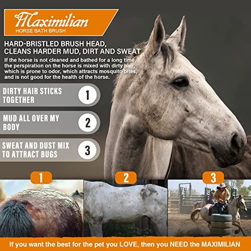 MAXIMILIAN World Class Handmade Equine Stiff Body Horse Brush. Professional Equine Grooming Tools. Effortlessly Removes Mu...