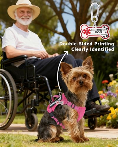 Service Dog Vest for Small Breed Dogs with ID Tag – Lightweight Puppy Harness and Leash Set with 6 PCS Patches, Ideal Serv...