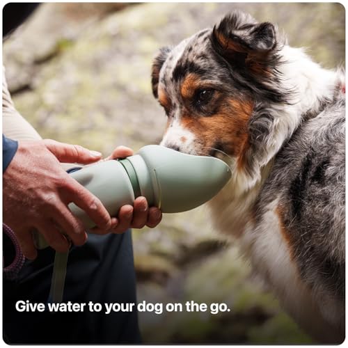 SÄKER Portable Dog Water Bottle, Collapsible Water Bottle for Dogs Perfect for Walking, Hiking and Outdoors | Works as a P...