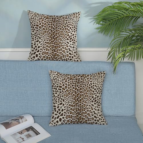 OFIRD Leopard Pillow Covers 18x18 Inches Pack of 2,Cheetah Print Brown Throw Pillow Covers Animal Skin Modern Pillowcase D...