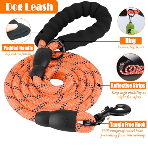 LOBEVE No Pull Dog Harness, Collar & Leash Set | Includes Dog Seat Belt, Collapsible Bowls & Poop Bag Dispenser. Ideal for...