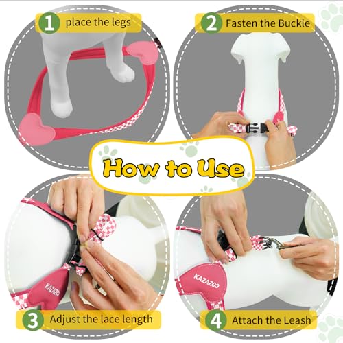 Kazazoo No Pull Small Dog Harness and Leash Set, Adjustable Puppy Soft Vest Harness with Breathable Mesh Padded, Reflectiv...
