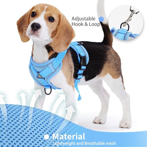 Jolifield No Pull Dog Harness with Leash Set for Small Sized Dog, Reflective Adjustable No Choke Front Clip Cat Vest Harne...