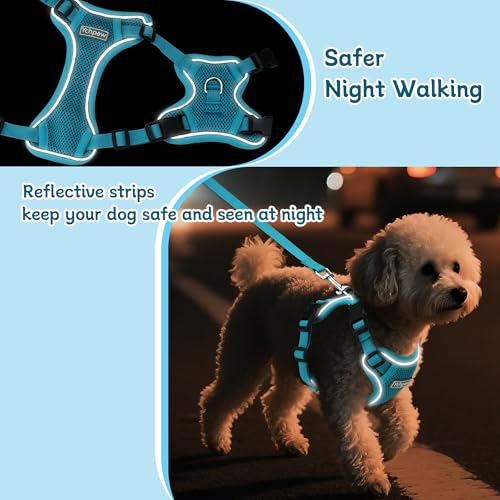 Ychpaw Small Dog Harness and Leash Set, Reflective Soft Breathable Mesh Vest, 3 Buckles, Adjustable Neck and Chest,Step in...