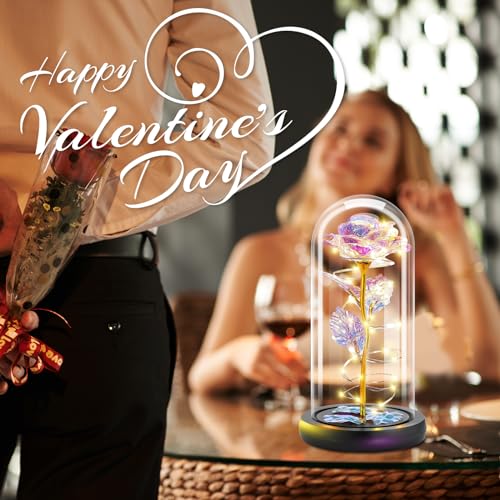 Otlonpe Preserved Forever Mothers Day Flower Gifts for Mom, Glass Light Up Rose Gifts for Women Grandma Girlfriend Wife Si...