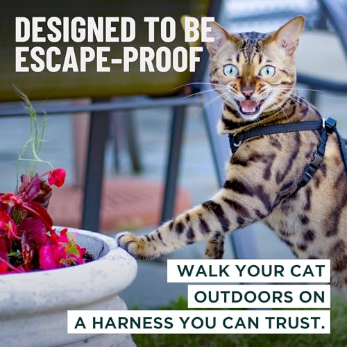 Houdini™ Escape Proof Cat Harness and Leash Set by OutdoorBengal – Black, Medium Cat Harness for Walking