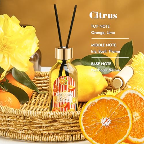3 Pack Reed Diffuser Set, Linen Eucalyptus Citrus Scented Oil Reed Diffusers for Home, Bathroom, Office Decor, Aromatherap...