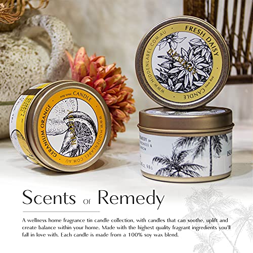 Hidden Label Fall Candles Set, 4 Pack Candle for Home Scented Aromatherapy Candle Gift Set for Women | Stress Relief | Med...