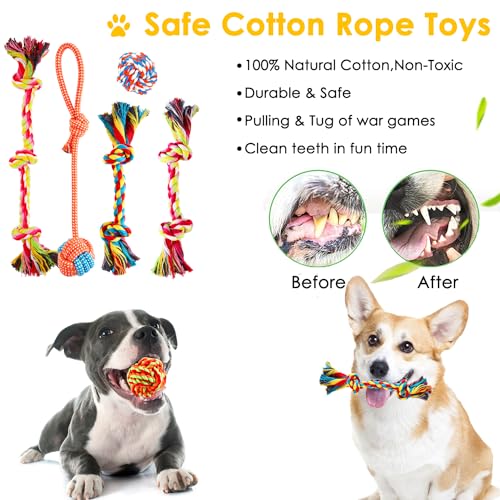 Aipper Dog Toys 25 Pack for Fun and Teeth Cleaning, Puppy Chew Toys Pack with Squeak Plush Toy,Squeaky Toy Balls,Tug of Wa...