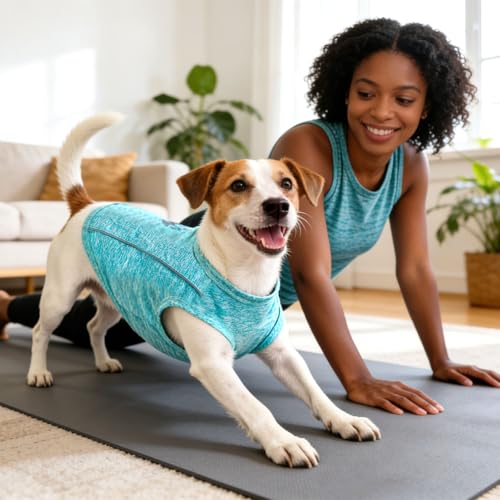 PETCARE Dog Shirt Clothes for Small Medium Dogs Cats Reflective Soft Stretchy Sun Protection Dog T-Shirts Cooling Vest Pup...