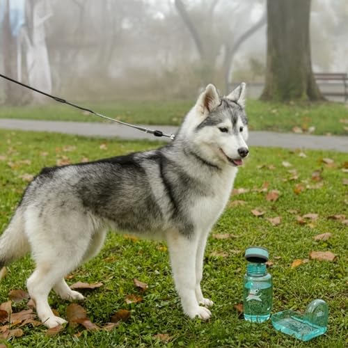 OllyDog OllyBottle, Dog Water Bottle with Detachable Bowl, No Spill Travel Bottle for Dogs, Wide Drinking Cup, BPA-Free Tr...