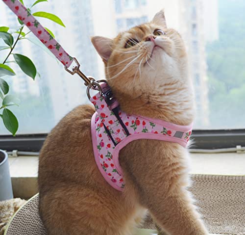 Moonpet Step in Valentine's Day Dog Harness Leash Set- All Weather Reflective No-Pull Floral Pattern Padded Mesh Vest Harn...
