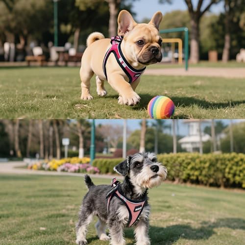 Service Dog Harness Vest Set Emotional Support Small Size Dog- 6PCS Removable Patches -Mesh Puppy Harness and Leash Set Tr...