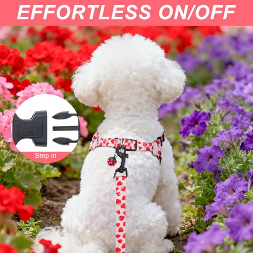 BEAUTYZOO Dog Harness Small Sized Dog Girl, No Pull Dog Harness and Leash Set,Step in Soft Light Puppy Vest, No Choke Heav...