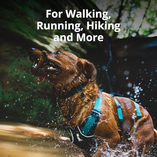 Ruffwear, Flagline Dog Harness, Lightweight and Reflective, No Pull Dog Lift Harness for Hiking, Running and Everyday Use,...
