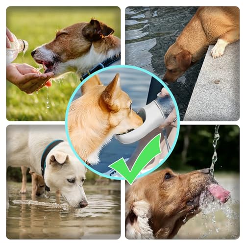 Kalimdor Dog Water Bottle,Leak Proof Portable Puppy Water Dispenser with Drinking Feeder, Dog Walking Accessories for Pets...