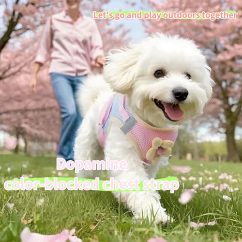 Floral Mesh Dog Harness with Matching Leash, Lightweight Pet Vest,Suitable for Small and Medium-Sized Cats and Dogs to Wea...