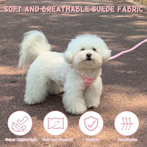 Guiding Star Dog Harness Small Sized Dog with Multifunction Leash, No Pull Puppy Dog Harness and Leash Set Training, Cute ...