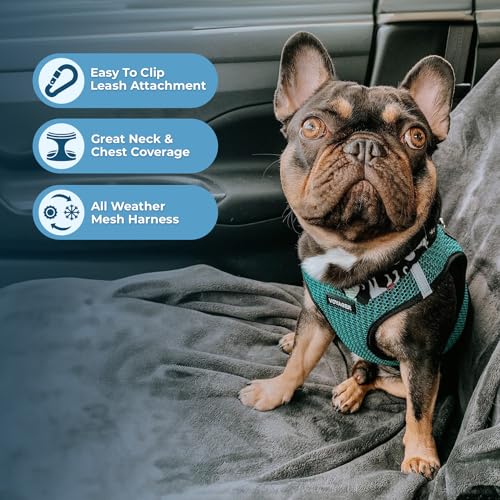 Best Pet Supplies Voyager Step-in Air All Weather Mesh Harness and Reflective Dog 5ft Leash Combo with Neoprene Handle, fo...