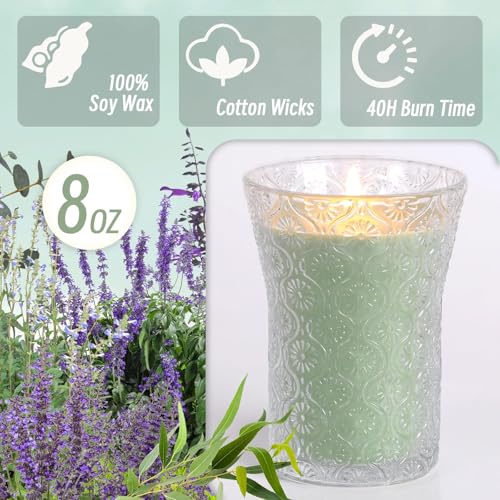 HAVITI Eucalyptus & Alpine Sage Scented Candle, Galentines Valentines Mother's Day Soy Jar Candles Gift Men Women,8 OZ Aro...