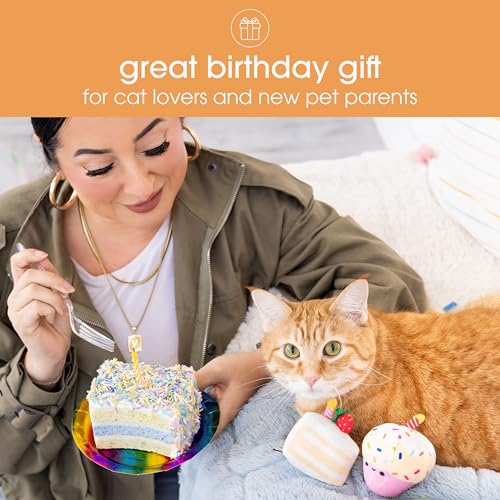 Pearhead Happy Birthday Cake Cat Toy Set, Stuffed Birthday Cake and Cupcake Cat Toys with Catnip and Squeakers, Interactiv...
