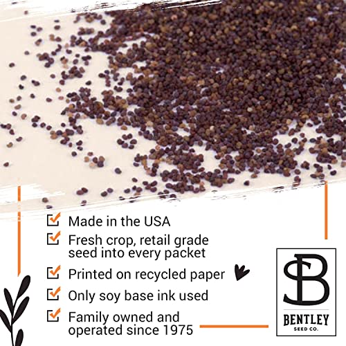 Bentley Seed Co. | Celebration of Life Funeral Favors for Guests | Non-GMO, Non-Coated Flanders Poppy Seed Packets in Our ...