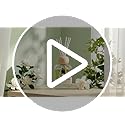 Luxury Hotel Scent Reed Diffuser 100ml (3.38oz) | No.1898 Hotel Collection Diffuser Oil Inspired by Ritz Carlton | Home, B...
