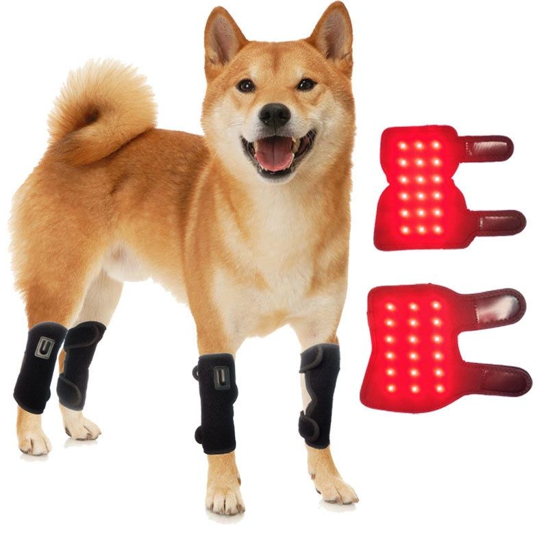 Pet Four Leg Red Light Therapy Mat For Calf Heat Therapy With LED Infrared Lights