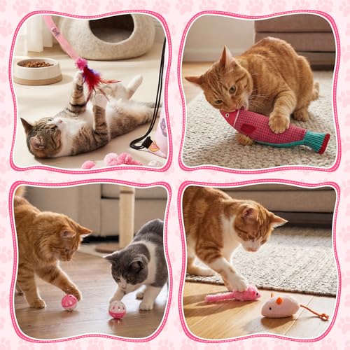 Leitee 101 Pcs Cat Interactive Toys Set with 1 Cat Paw Gift Storage Bags Feather Teaser Wand Springs Mice Fish Crinkle Bal...