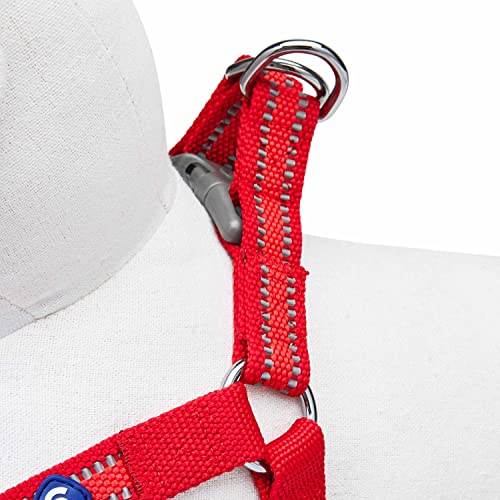 Blueberry Pet Essentials Step-in Reflective Back to Basics Dog Harness, Rouge Red, Chest Girth 16.5" - 21.5", Small, Adjus...