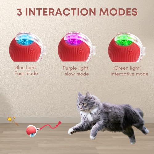 Rocfish Durable Interactive Cat Toys for Indoor Cats, Smart Automatic Cat Chase Ball Toy, Upgraded Speedy Tail Kitten Toy ...