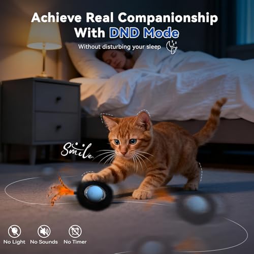 KiwiLove Interactive Cat Toy with Motion Activated Ball & 7-Hole Play Mat, Hide and Seek Exercise Game for Indoor Cats, Au...