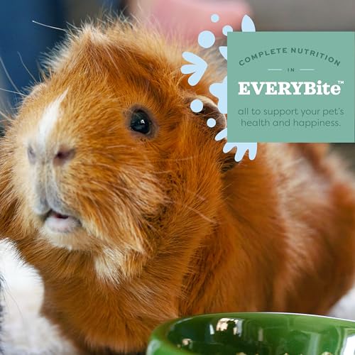 Oxbow Essentials Guinea Pig Food, Adult Guinea Pig, Made with Oxbow Timothy Hay, Pet Food Pellets with Vitamin C, Small An...