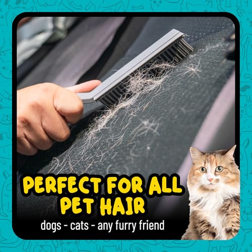 Chemical Guys Professional Rubber Pet Hair Removal Brush – Multi Surface Detailing & Pet Hair Removal Tool for Cars, Truck...