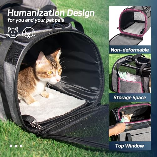 Large Cat Carrier for 20 lbs Pets - Soft Sided Breathable Mesh Travel Carrier, Airline Approved, Washable for Small Dogs P...