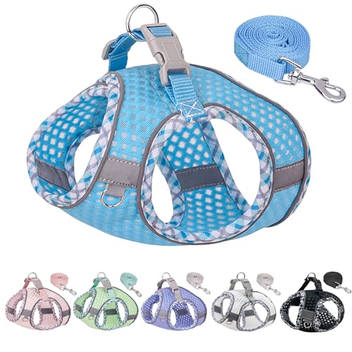 JOYPAWS Summer Soft Dog Harness and Leash Set,Ultra Thin Breathable Diamond Mesh, Step in Adjustable Dog Harness with Padd...