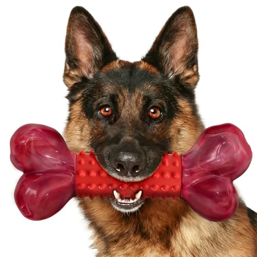 Apasiri Tough Dog Toys for Aggressive Chewers: Beef Flavored Long Lasting Dog Bones for Large Dogs, Heavy Duty Nylon & Rub...