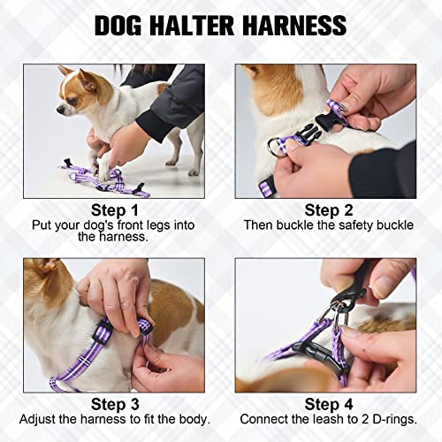 BEAUTYZOO No Pull Dog Harness and Leash Set - Adjustable Step-in Puppy Harness for Small Medium Large Dogs, Escape Proof S...