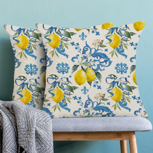 Summer Pillow Covers 18x18 Inch Set of 2 Boho Blue Yellow Lemon Floral Throw Pillows Outdoor Decorative Seasonal Spring Su...