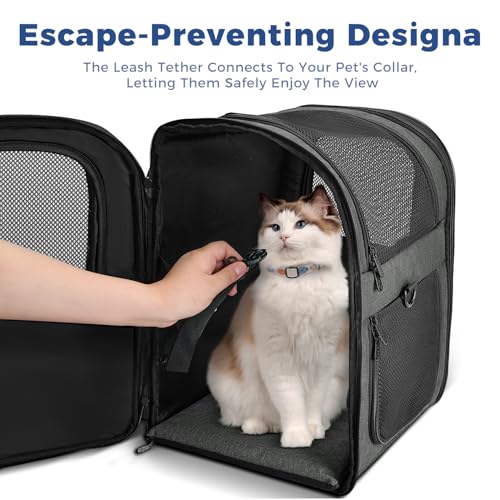 Apollo Walker Pet Carrier Backpack for 4-18lb Cats and Dogs, Puppies, Safety Features and Cushion Back Support | for Trave...