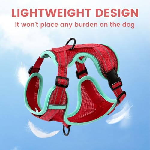 PAWDAY No-Pull Dog Harness with Dog Leash Breathable Mesh Adjustable Soft Padded Pet Vest Reflective for Small/Medium/Larg...