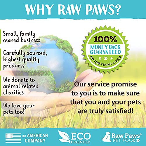 Raw Paws Grooming Brush, 1 ct - Hand-Held Rubber Tipped Pin Brush for Dogs & Cats - Deshedding Dogs with Short Hair & Long...