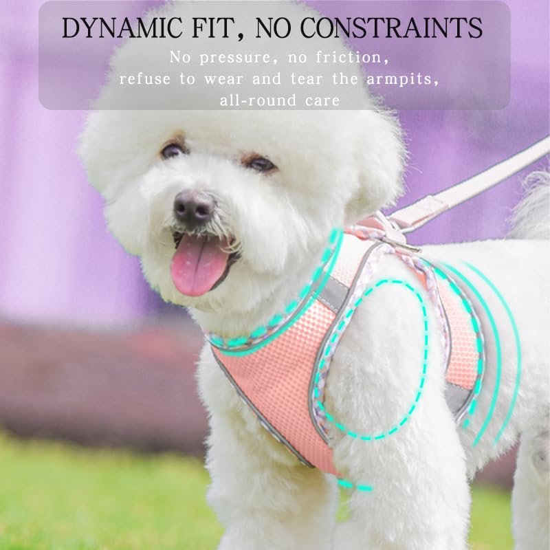 Dog Harness and Leash Set, No Pull Adjustable Reflective Pet Harness, Mesh Dog Harness, Step in Vest Harness Easy Walk Pup...