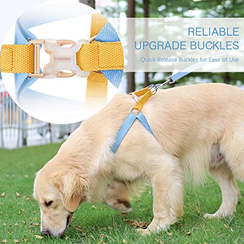 No Pull Dog Harness and Leash Set, Dog Collar, Step in Dog Halter Harness with Poop Bag Holder, Adjustable Lightweight Cot...
