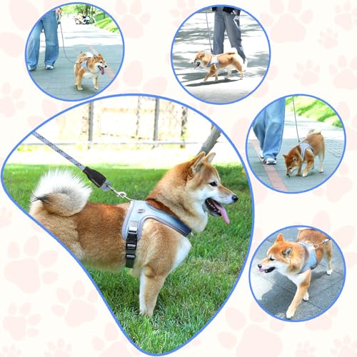 Dog Harness and Leash Set, No Pull Saddle Style Pet Harness, Breathable Mesh Adjustable Reflective Dog Vest for Dogs and C...