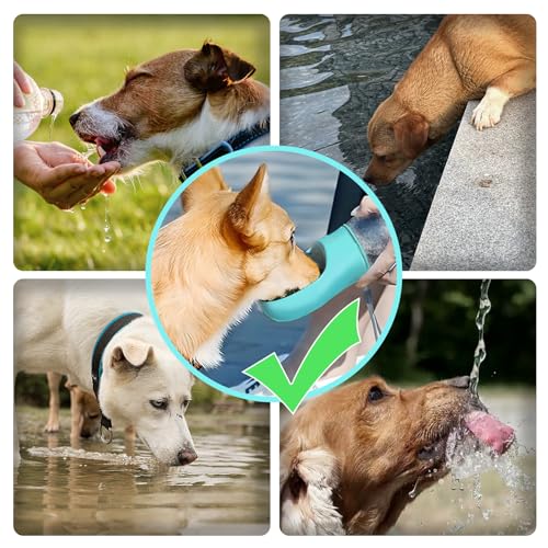 Kalimdor Dog Water Bottle,Leak Proof Portable Puppy Water Dispenser with Drinking Feeder, Dog Walking Accessories for Pets...