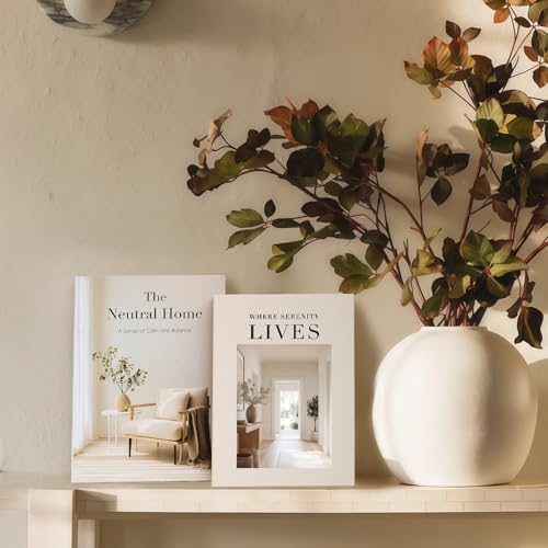 Braveriky Decorative Books for Neutral Home - Fake Books Storage Box for Decoration - Set of 2 Coffee Table Book - Photo S...