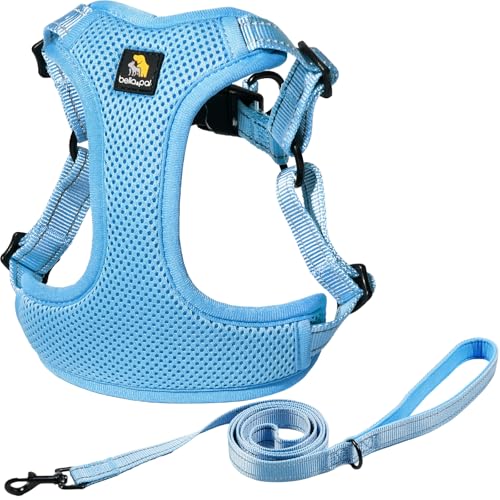 BELLA & PAL Adjustable Step-in Dog Harness, Puppy No-Pull Vest with Leash Set for XS/Small & Medium Dog, Breathable All-We...